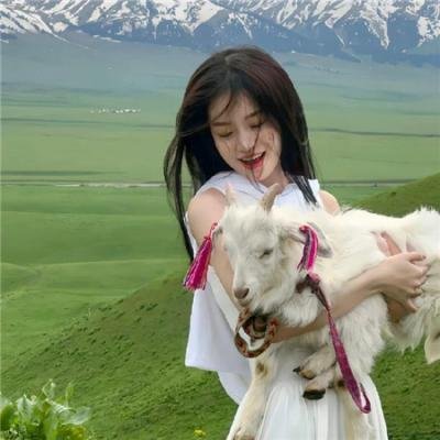 史酷比!格斗狂热迷